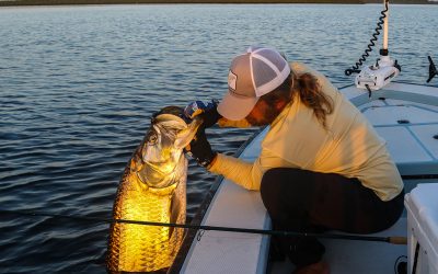 Tarpon Fishing Report 08-30-2021