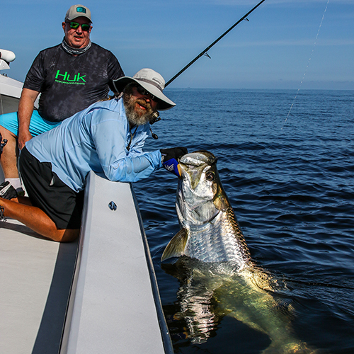 Florida Tarpon Fishing Report