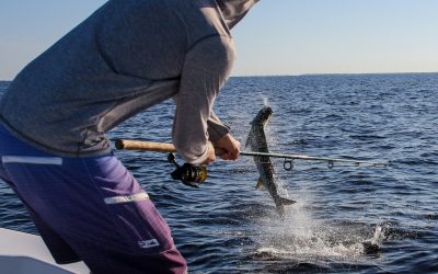 Florida Tarpon Fishing Report 08-01-2021
