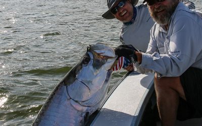 Tarpon fishing report 11-07-2021
