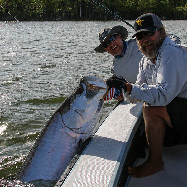 Tarpon fishing in the Florida Everglades with Captain Mark Bennett