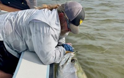 Tarpon fishing report