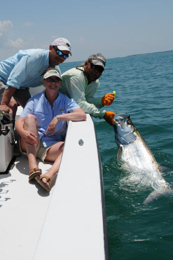 tarpon fishing guide