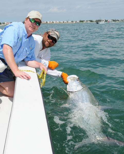 Tarpon fishing with Captain Mark Bennett