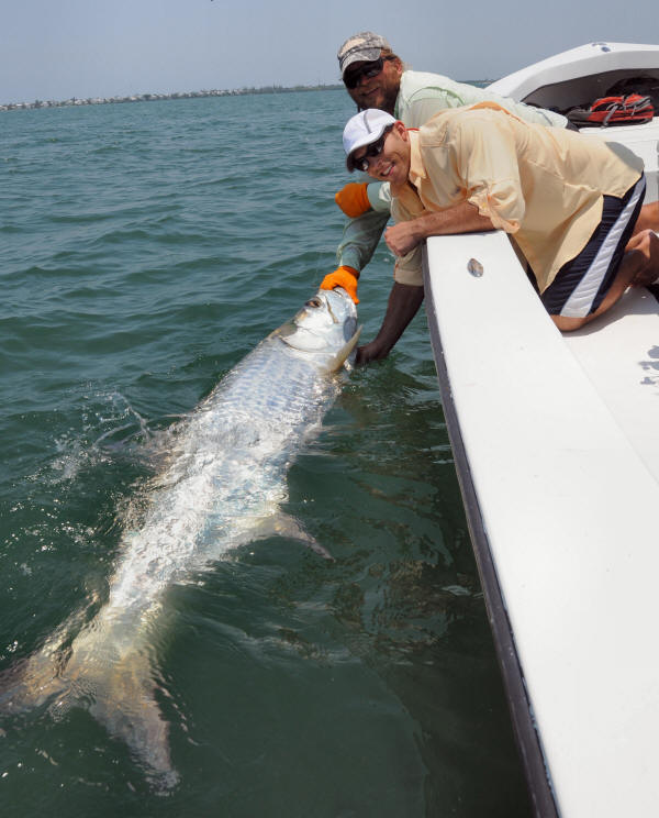 Tarpon fishing with Captain Mark Bennett