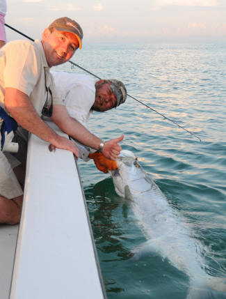 Tarpon fishing with Captain Mark Bennett