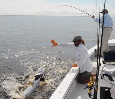 Boca Grande Tarpon fishing with Captain Mark Bennett