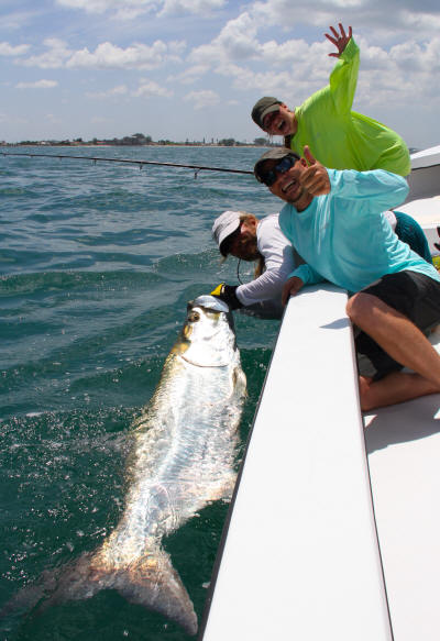 Boca Grande tarpon