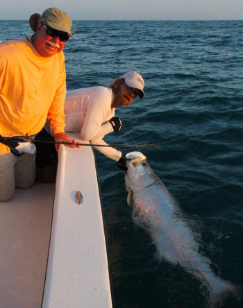 tarpon fishing