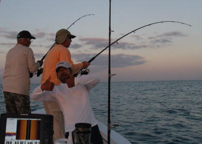 tarpon fishing