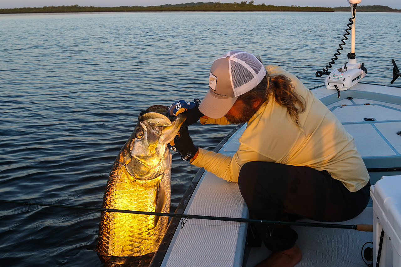 Florida tarpon fishing near Boca Grande with Captain Mark Bennett