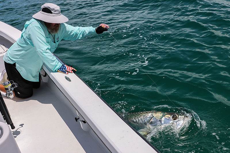 Florida tarpon fishing near Boca Grande with Captain Mark Bennett