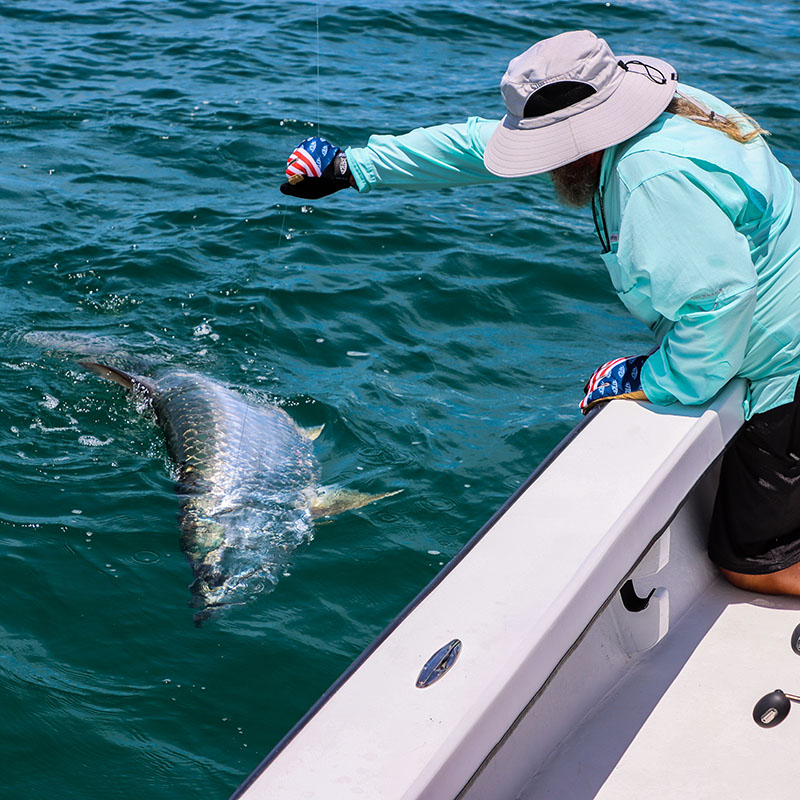 Tarpon fishing along the beaches near Boca Grande with Captain Mark Bennett