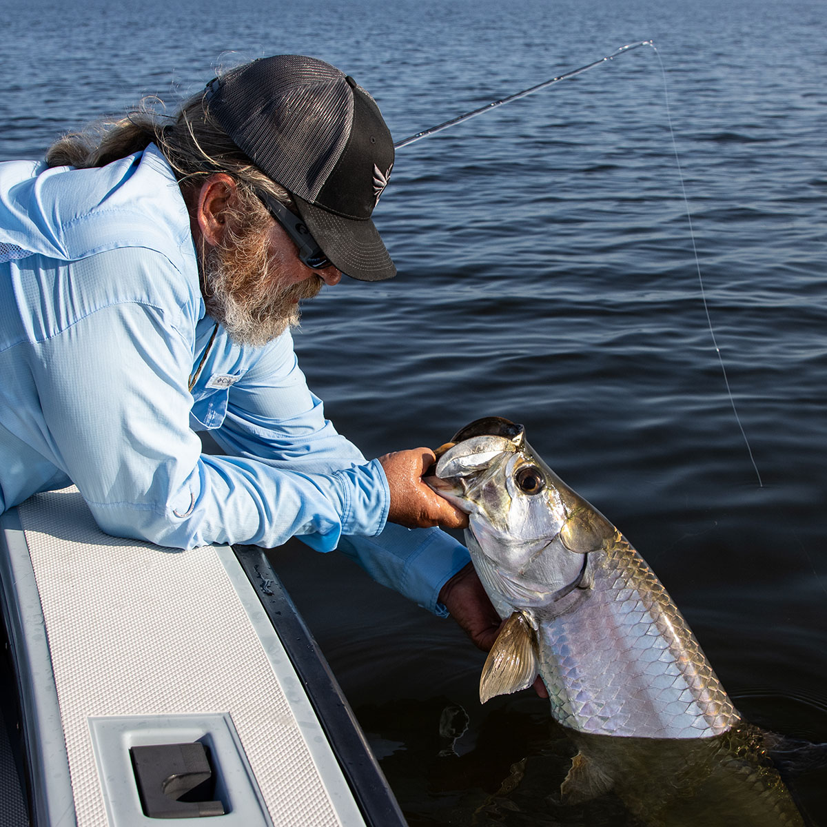 Tarpon and snook fishing in South Florida with Captain Mark Bennett