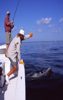 Tarpon fishing with Captain Mark Bennett