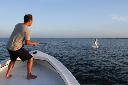 Boca Grande Tarpon fishing with Captain Mark Bennett