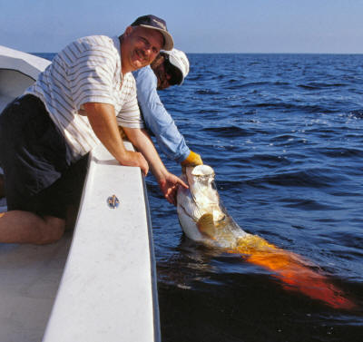 Tarpon fishing charters