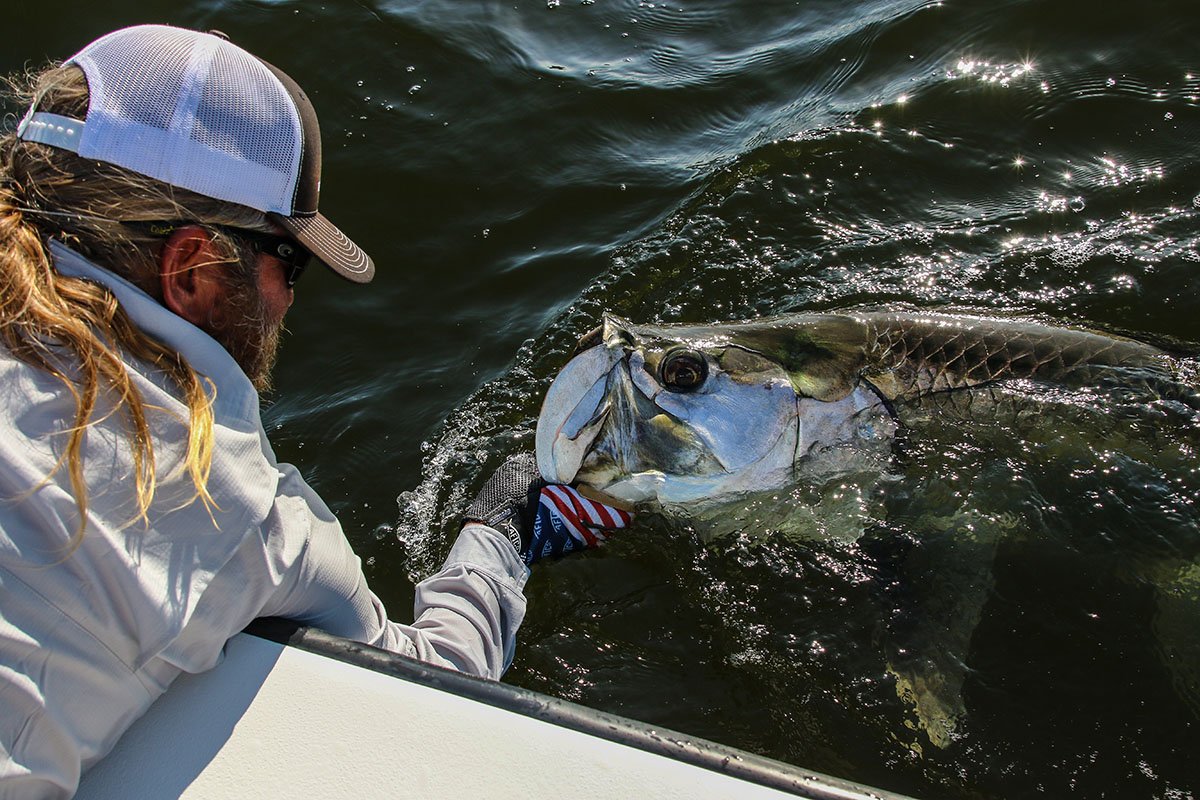 Tarpon fishing along the beaches near Boca Grande with Captain Mark Bennett