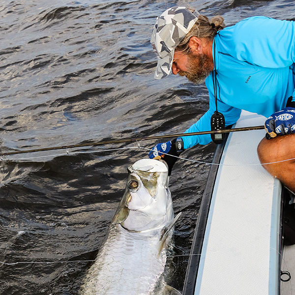 Tarpon fishing in the Florida Everglades with Captain Mark Bennett