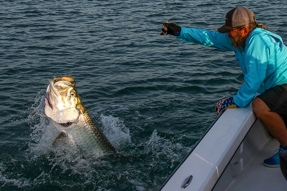 Florida tarpon fishing near Boca Grande with Captain Mark Bennett