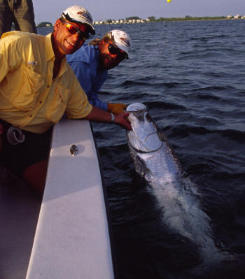 Tarpon fishing with Captain Mark Bennett