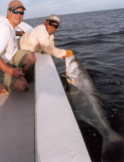 Tarpon fishing guide charters