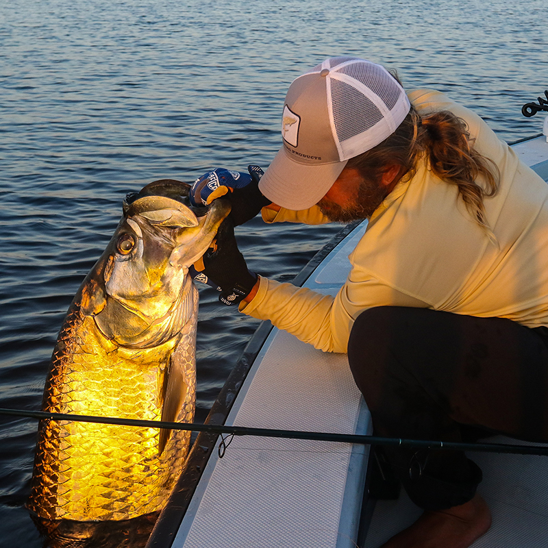 Florida tarpon fishing near Boca Grande with Captain Mark Bennett