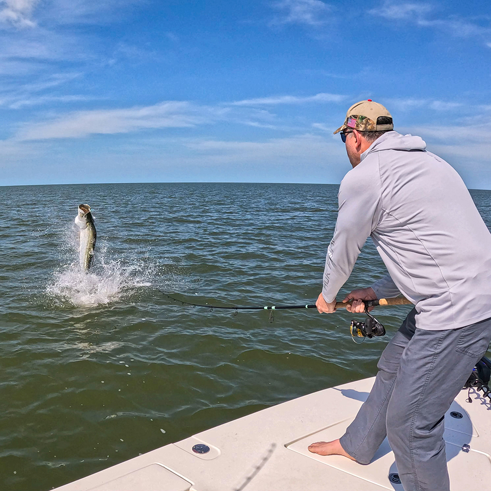 Everglades tarpon fishing